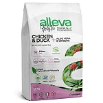 Alleva Holistic Kitten (Курица и утка)